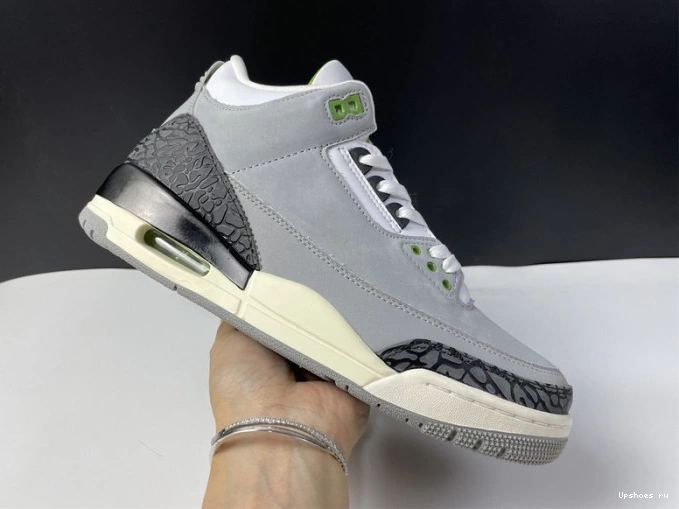 136064-006 Air Jordan Retro 3 Chlorophyll 0809